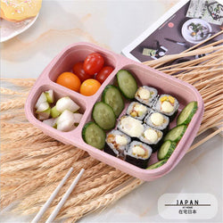 Wheat straw fiber eco-responsible Bento Box